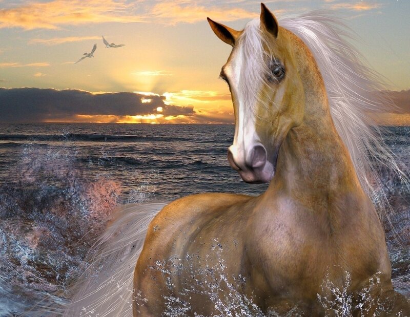 Horse in Ocean Water