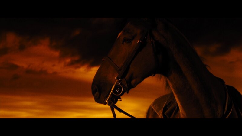 Horse in Profile — Orange, Dramatic, Sunset