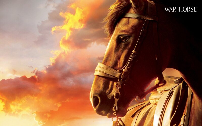 Horse in Profile — Orange, Dramatic