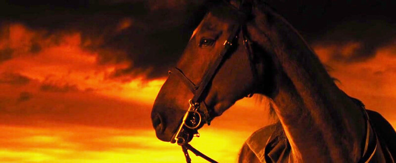Horse in Profile — Orange