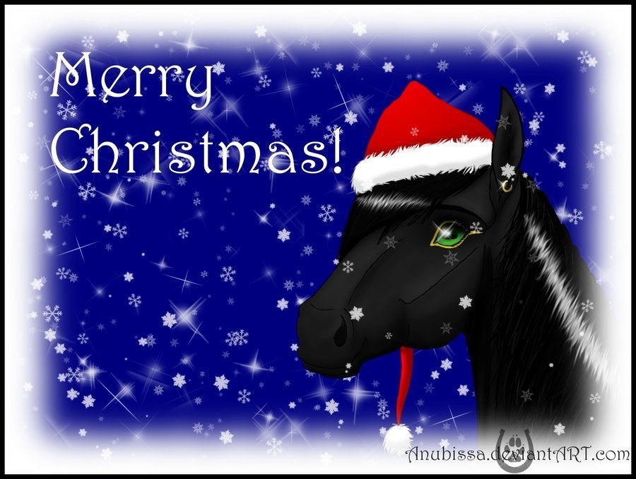 horse in santa hat