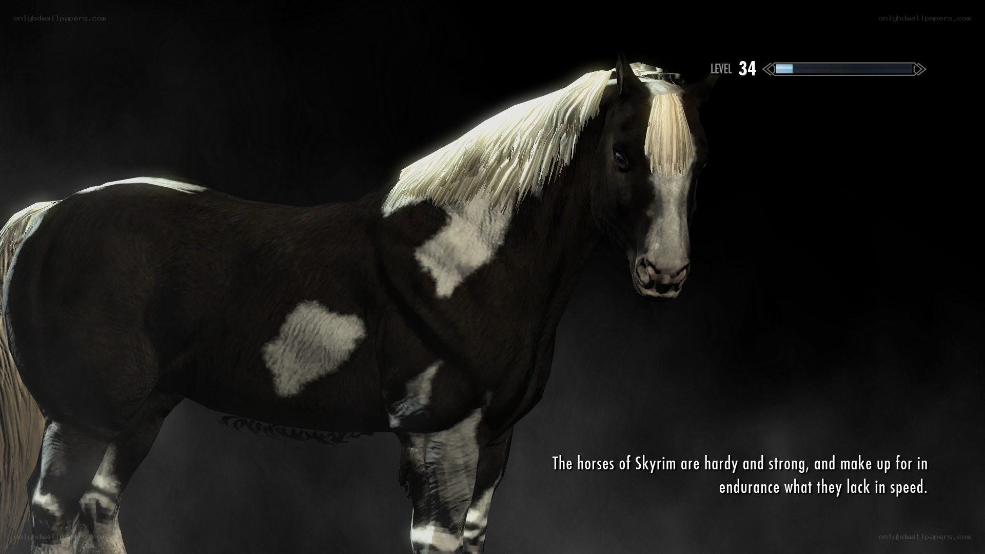 horse in skyrim game