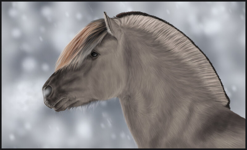Horse in Snow — Gray