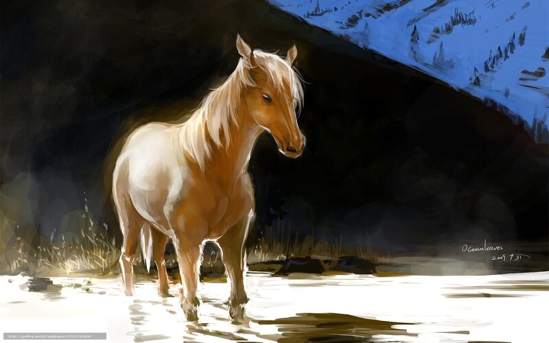 Horse in Snowy Landscape — White