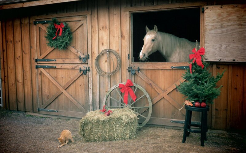 Horse in Stable — Brown, Festive