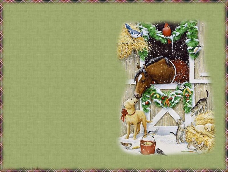 Horse in Stable