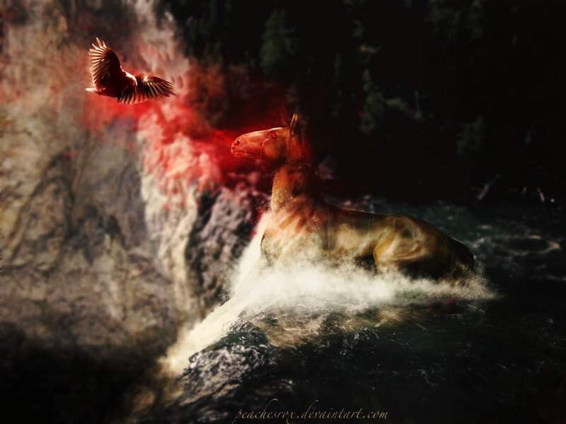 Horse in Waterfall