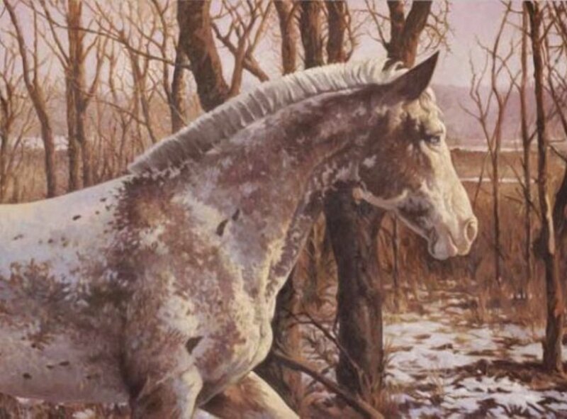 horse in winter forest