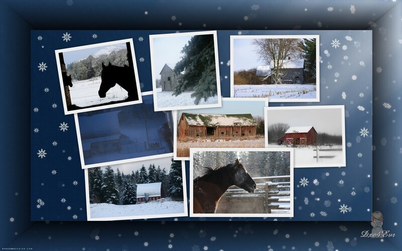Horse in Winter Landscape — Blue