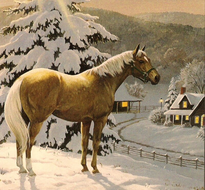 Horse in Winter Landscape — White