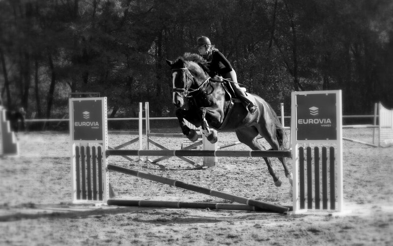 Horse Jumping Hurdle — Black