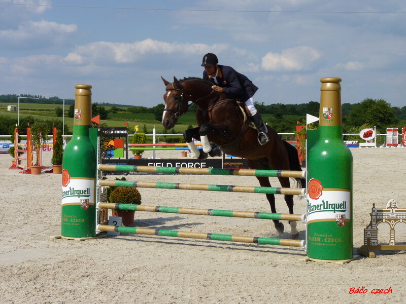 Horse Jumping Hurdle — Green