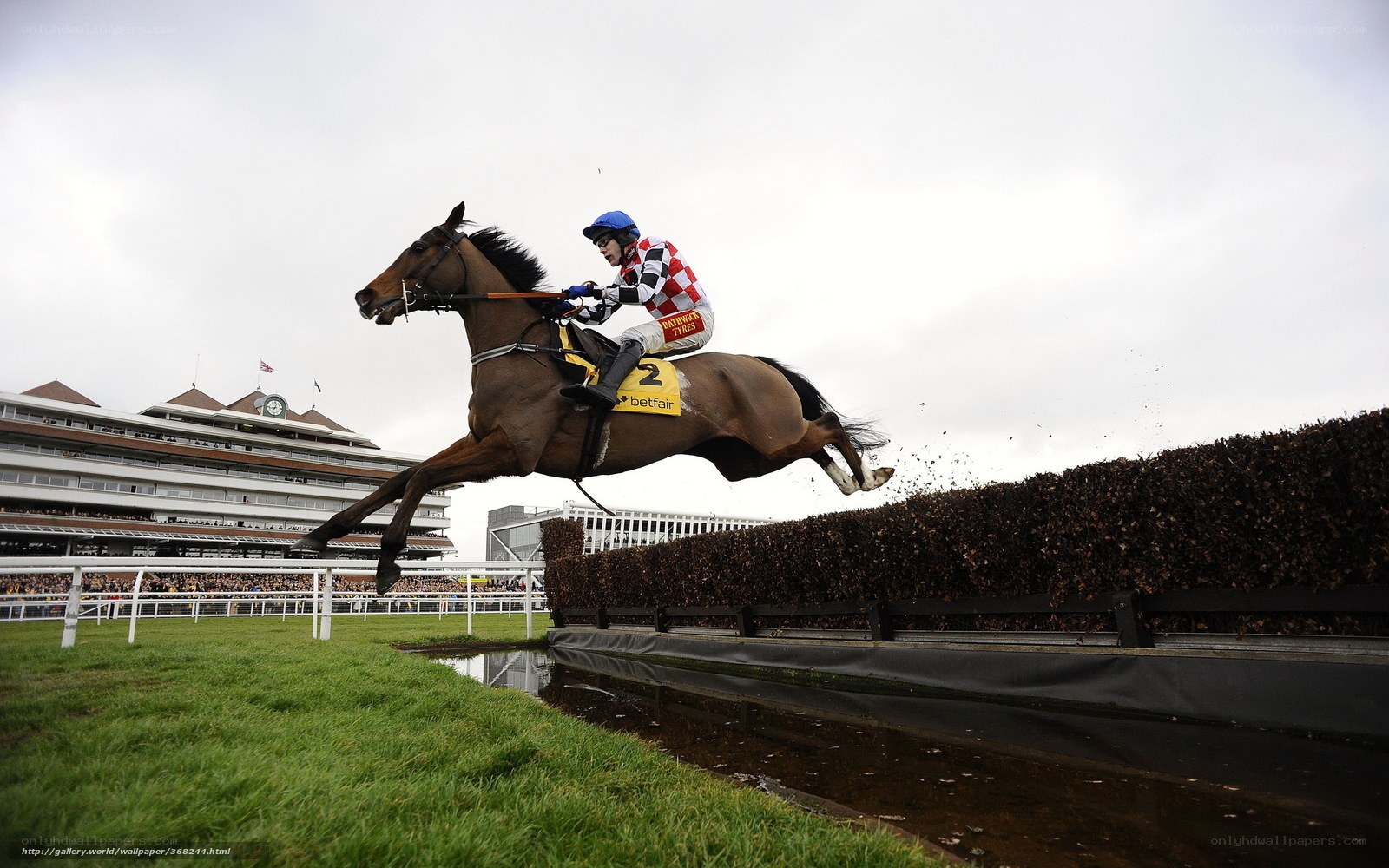 Horse jumping hurdle