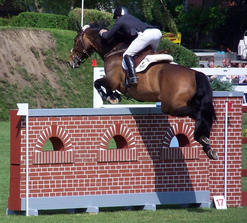 Horse Jumping Obstacle — Brown