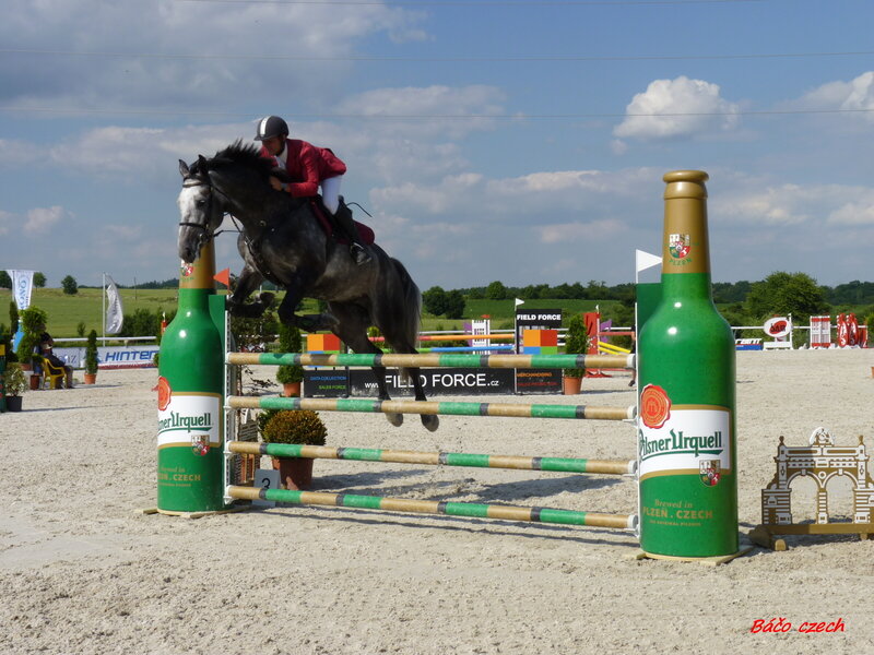Horse Jumping Obstacle — Green, Active