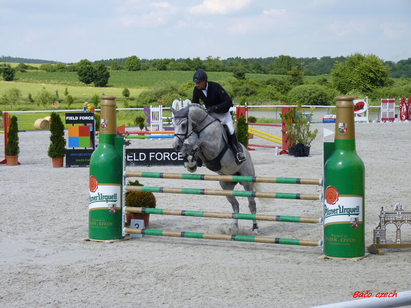 Horse Jumping Obstacle — Green