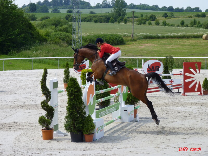 Horse Jumping Obstacle