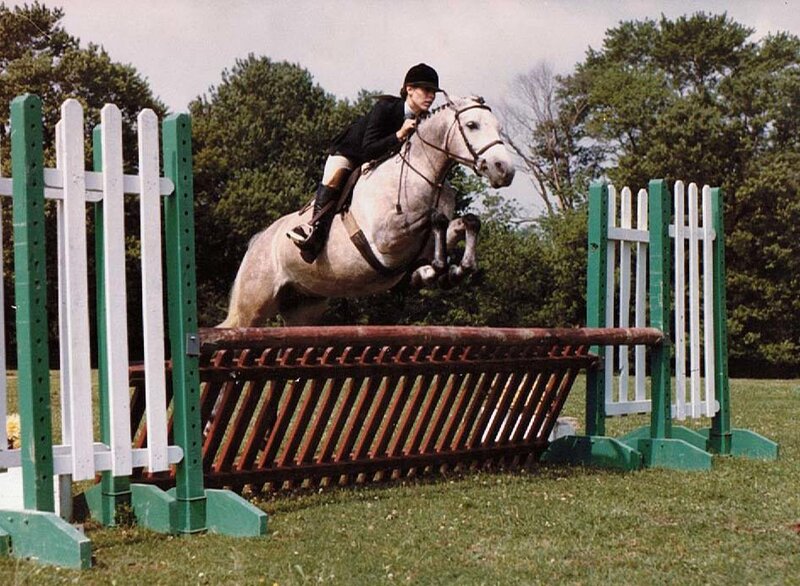 Horse jumping over a hurdle