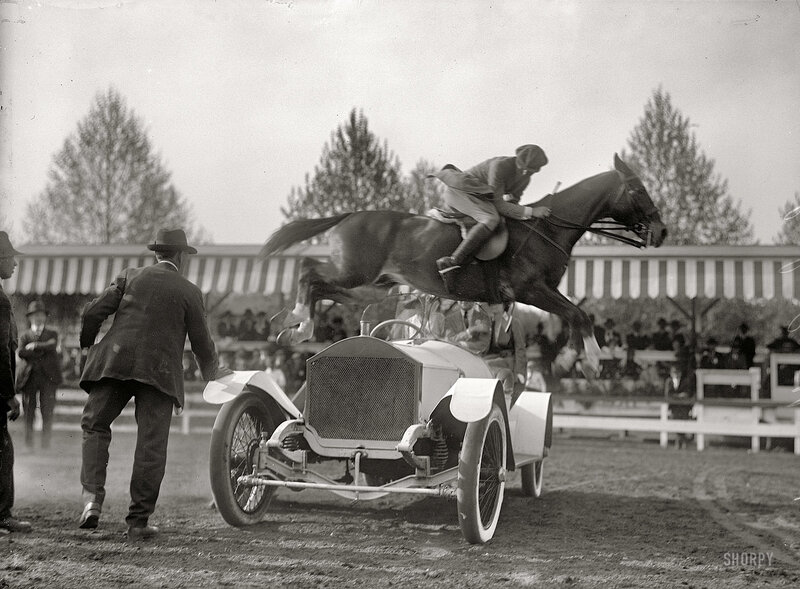 Horse jumping over car