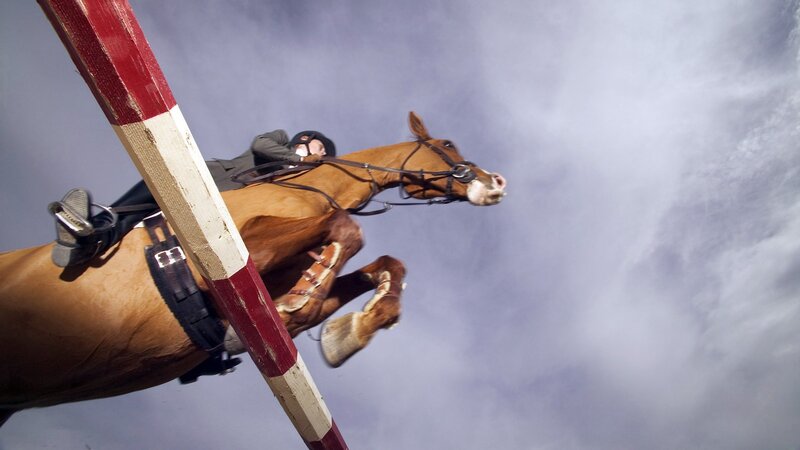 Horse jumping over hurdle