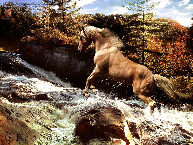 horse leaping over a stream