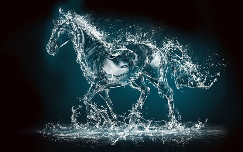 Horse Made of Water — Blue