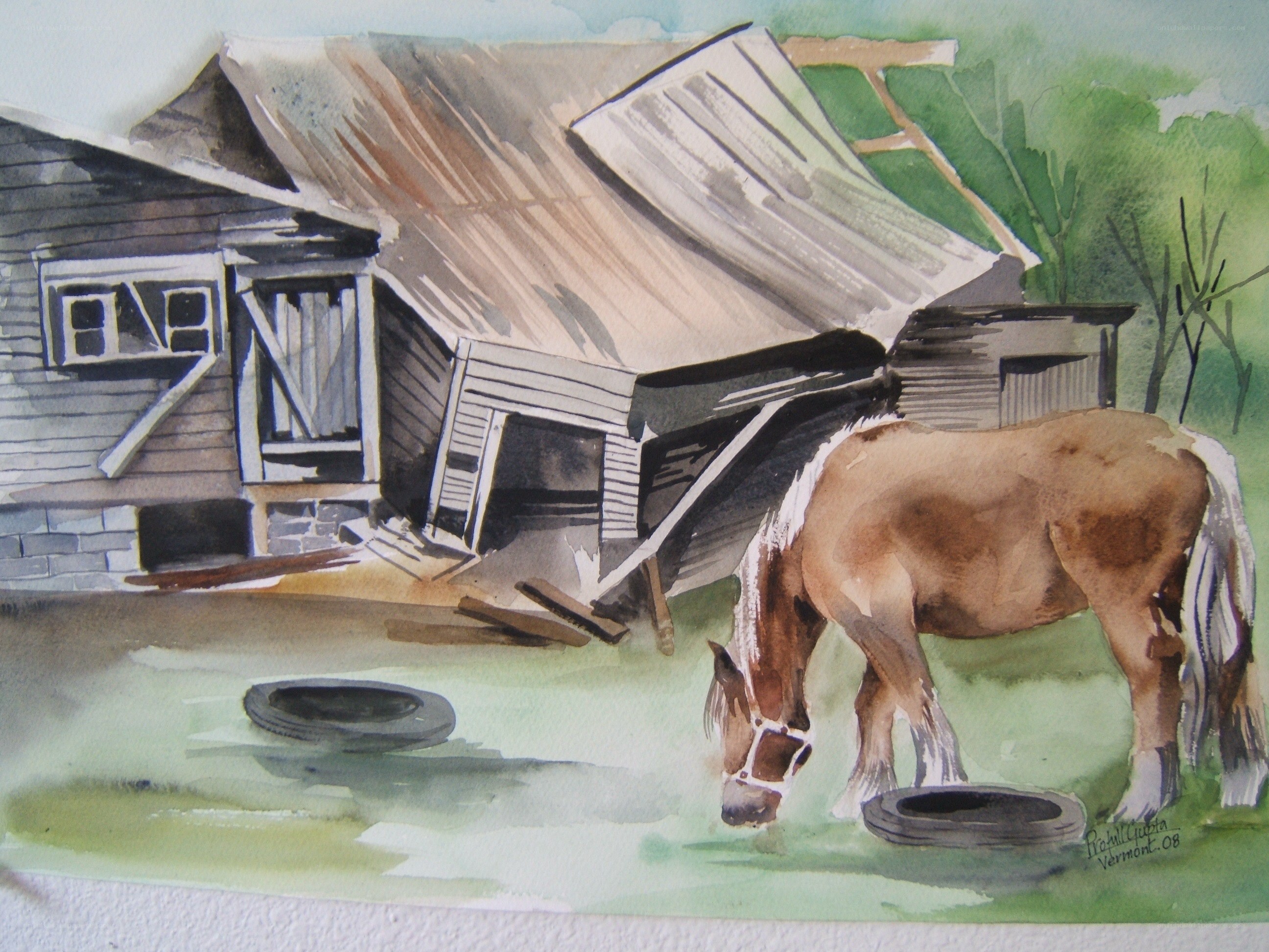 horse near damaged barn
