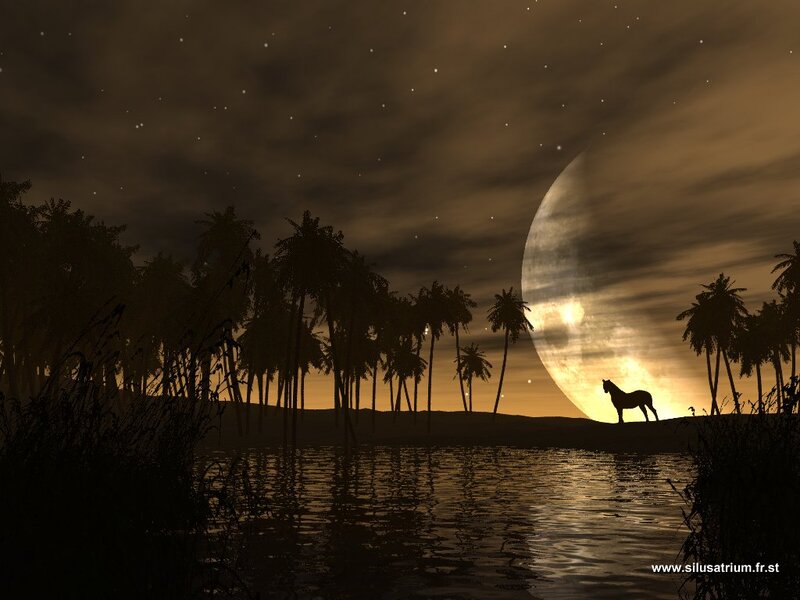 Horse on a Beach