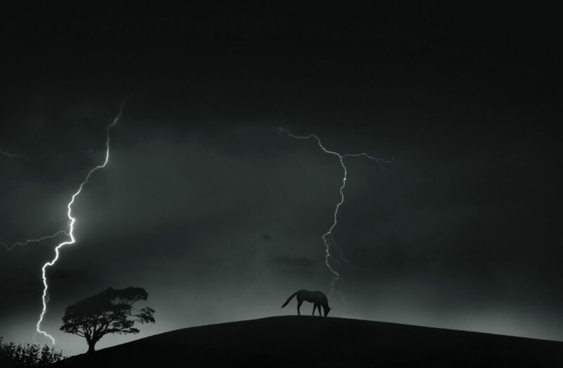 Horse on a Hill — Black