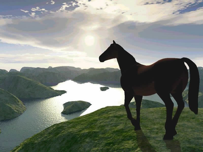 horse on a hill overlooking water