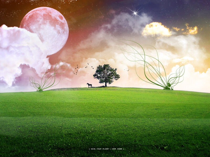 Horse on a Hill