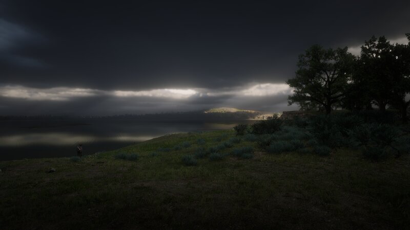 Horse on a Hillside — Dark Gray