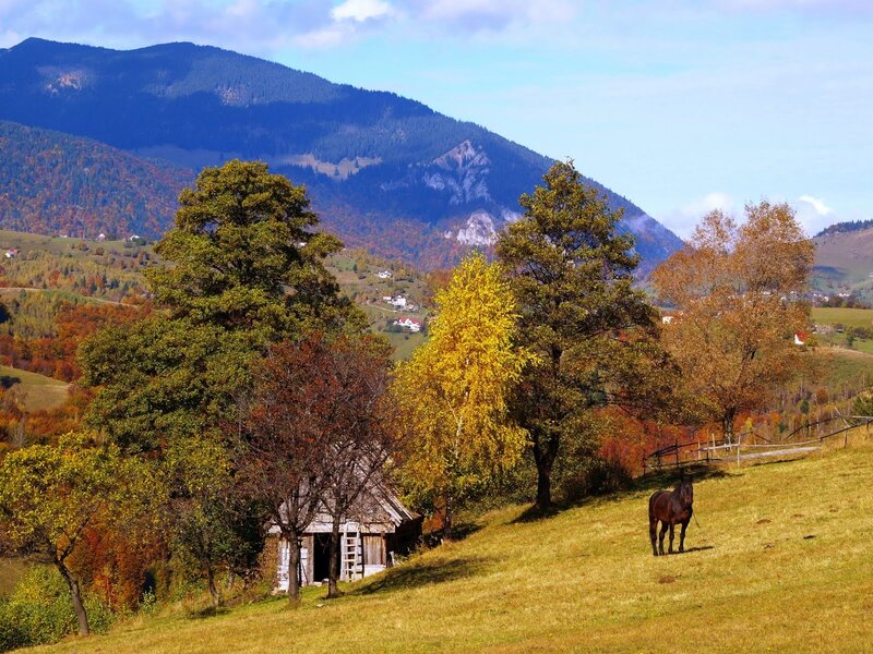 Horse on a Hillside — Green