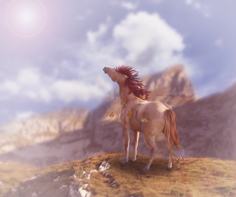 Horse on a Mountain
