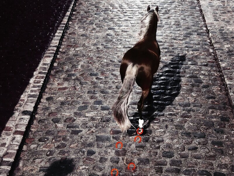 horse on cobblestone street