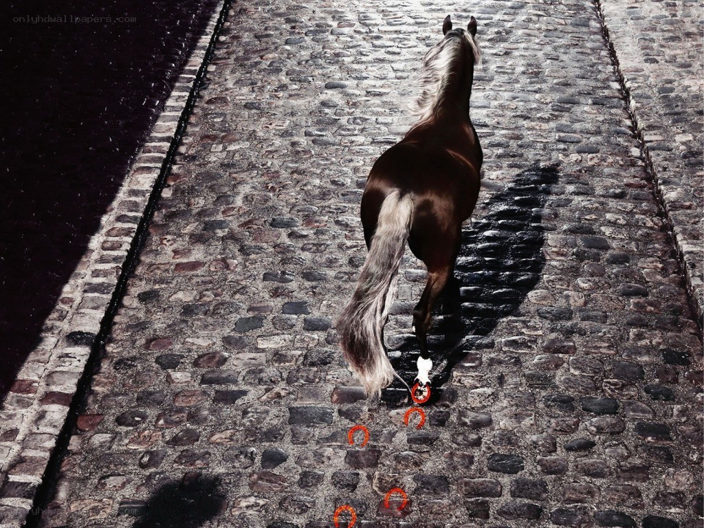 horse on cobblestone street