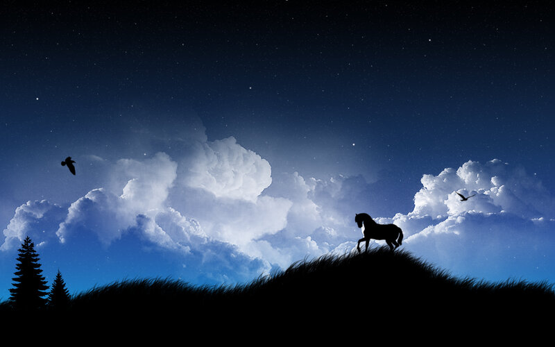 Horse on Hill at Night
