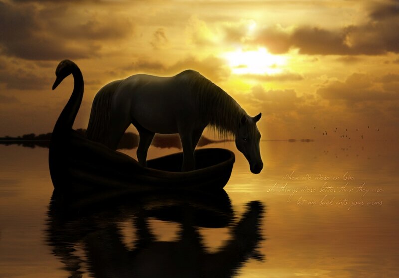 Horse on Swan Boat