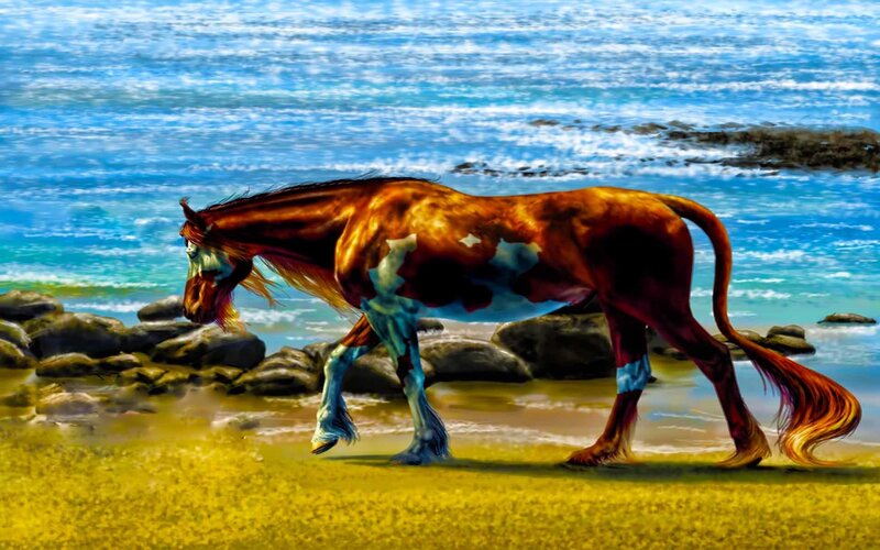 horse on the beach
