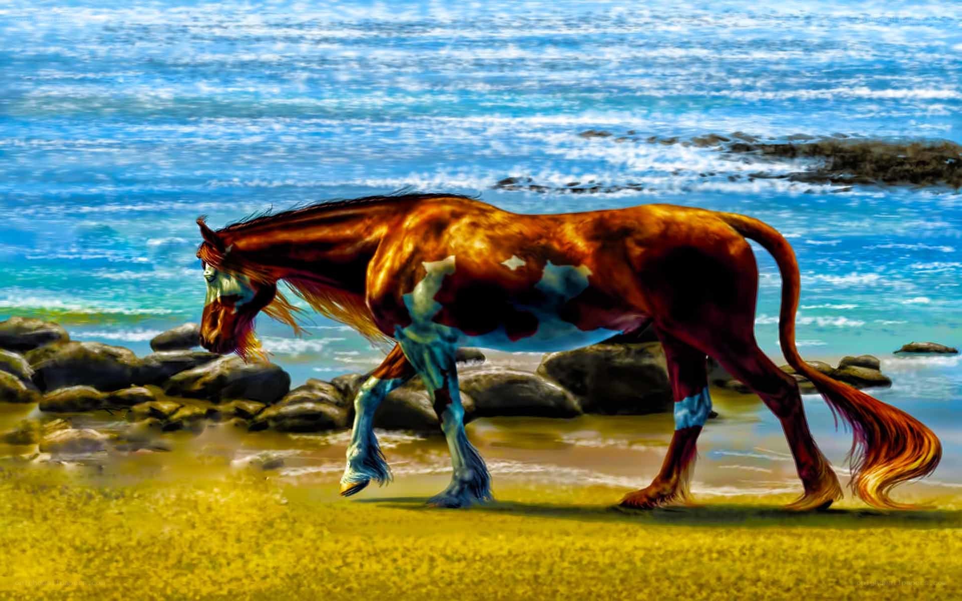horse on the beach
