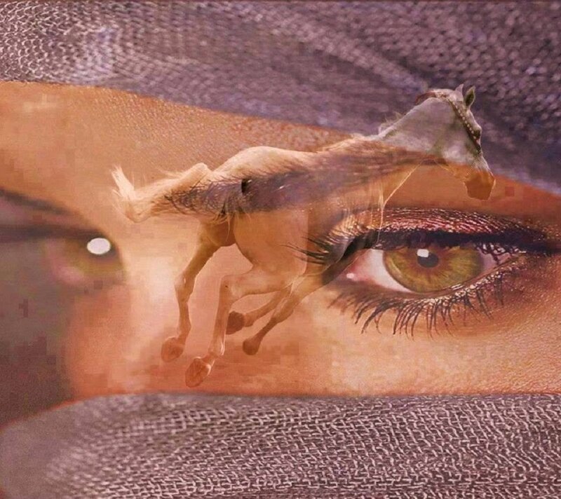 Horse over Eye