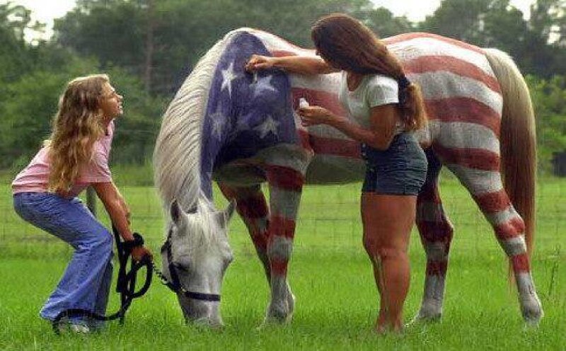 Horse Painted as Flag