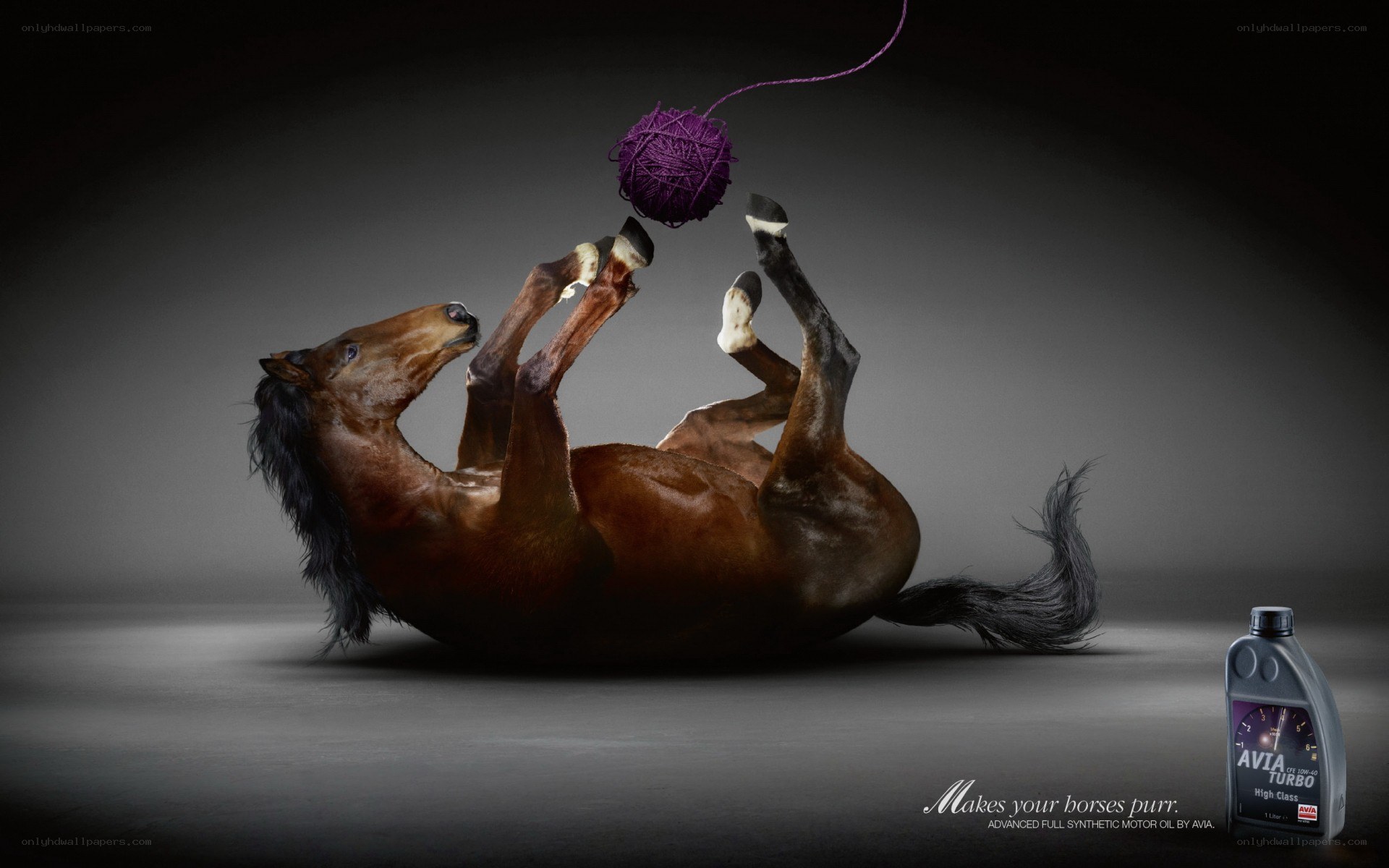 horse playing with yarn ball