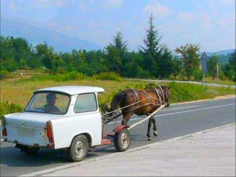horse pulling a car