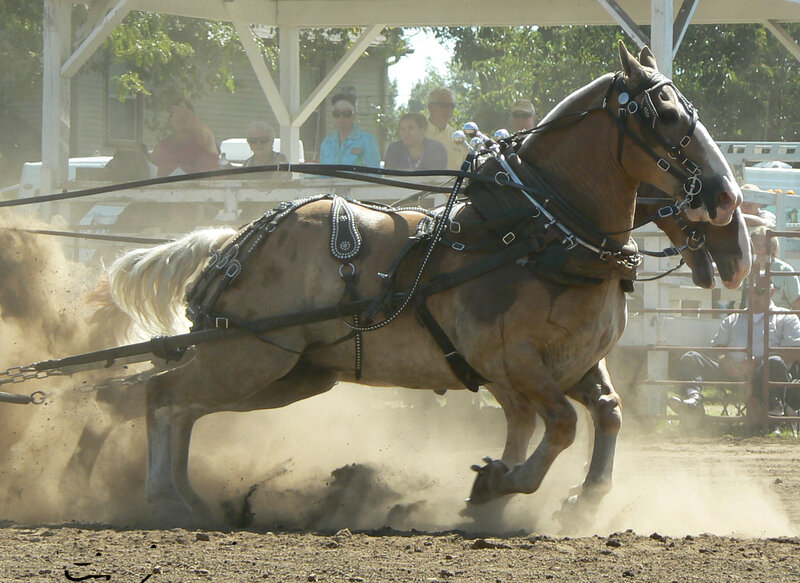 Horse Pulling a Cart — Brown
