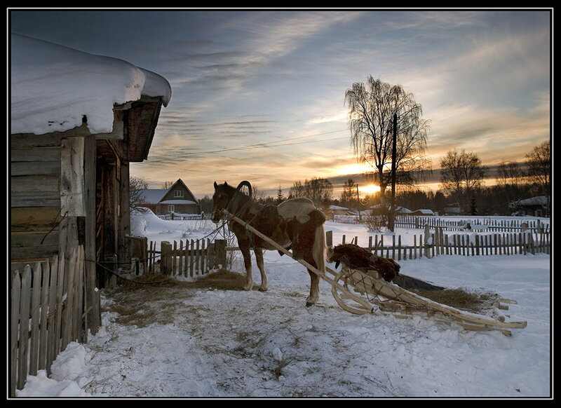 Horse Pulling a Sled
