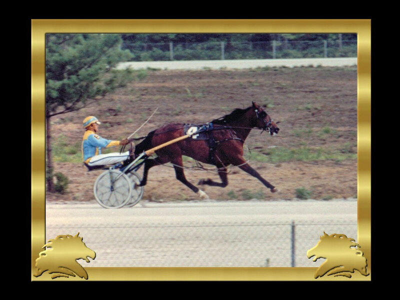 Horse Pulling a Sulky