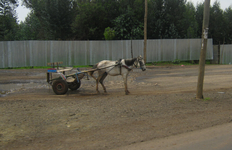 Horse Pulling Cart
