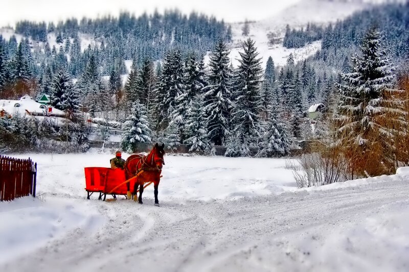 Horse Pulling Red Sleigh