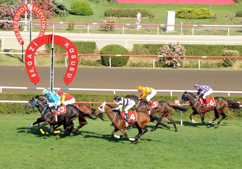Horse race at Veliefendi Hippodrome